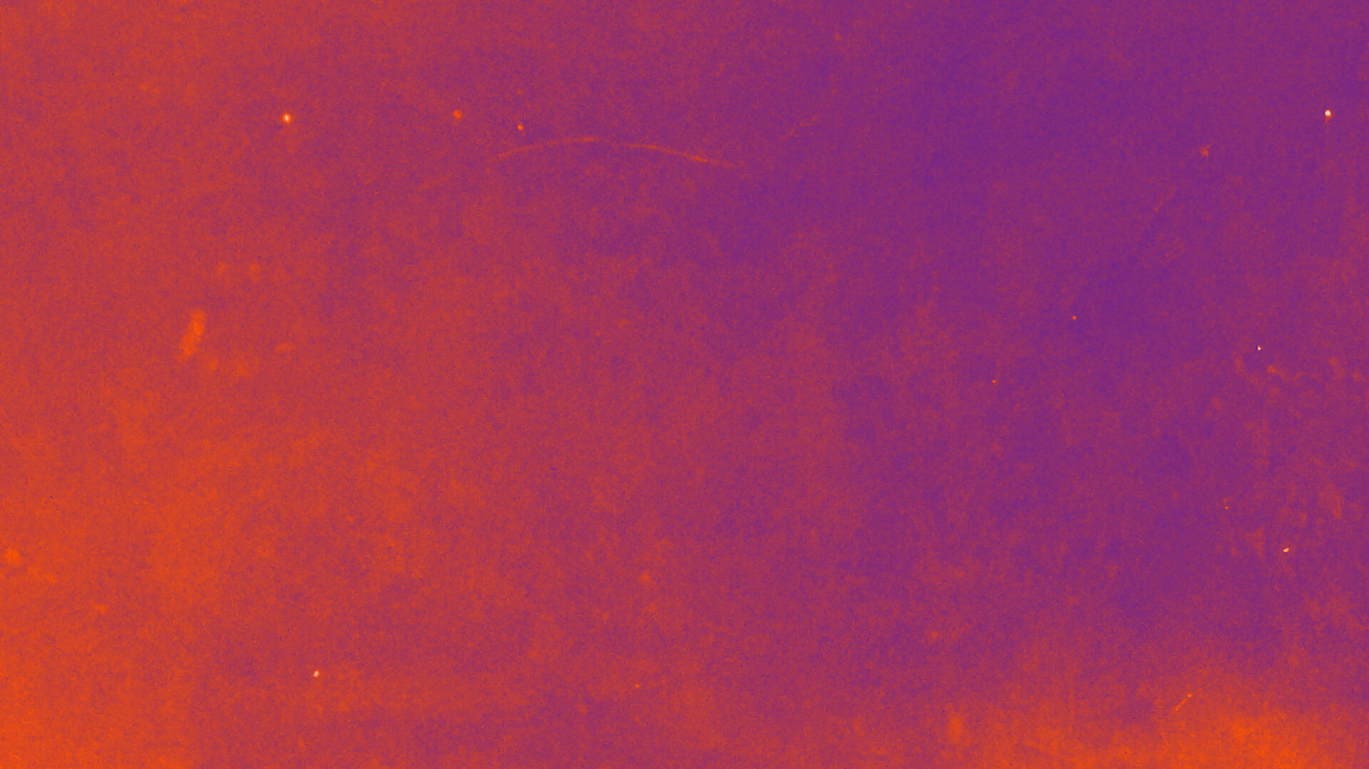 la machine dans le jardin